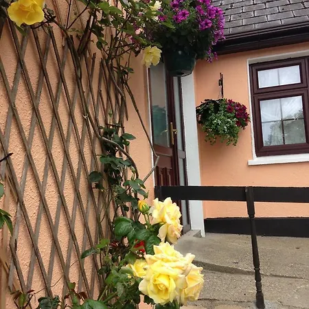 Couette-café Eriu Clifden